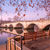  Thames River Cruises in London    